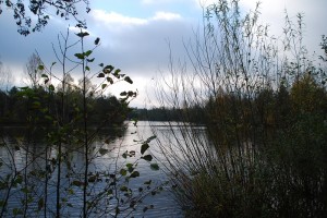 Center Parcs Bispinger Heide